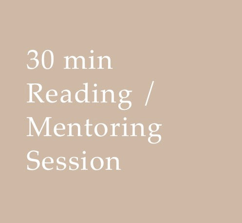 30 min Reading / Mentoring Session