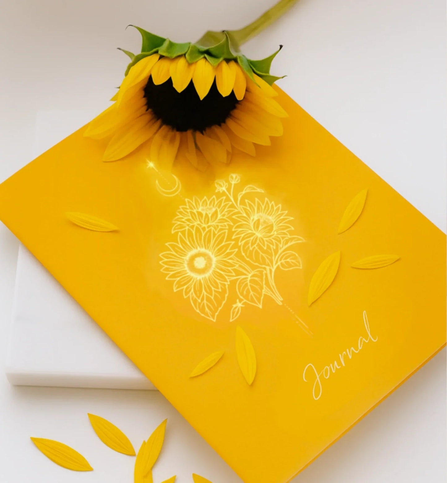 Sunny Yellow Gift Box